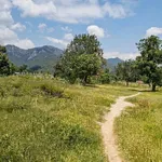 Bán đất Bình Thuận 1188m2 view đẹp 99 triệu - Ảnh thu nhỏ 2