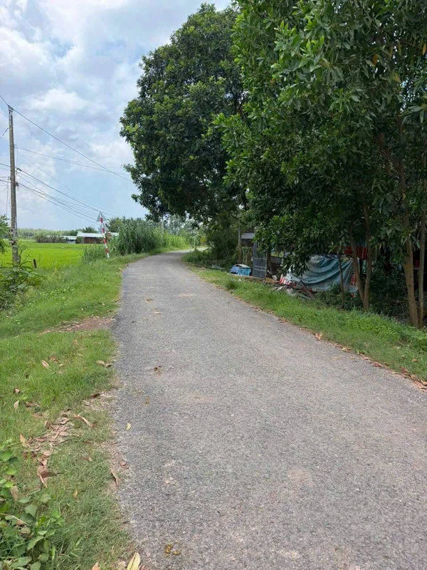 Bán lô đất 729m² Châu Thành Tây Ninh 299 triệu