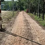 Bán đất thổ cư 50m² Châu Thành Tây Ninh 350 triệu - Ảnh thu nhỏ 4