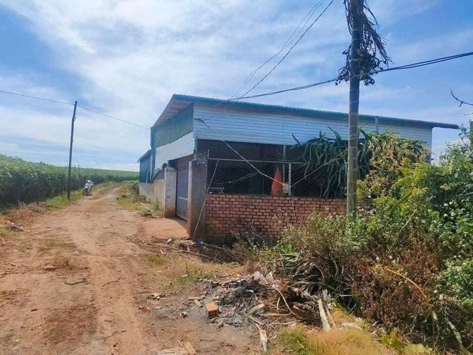 Bán 4.5 sào đất vườn Đức Trọng, Lâm Đồng, 90m mặt tiền, 5 tỷ - Ảnh thu nhỏ 3