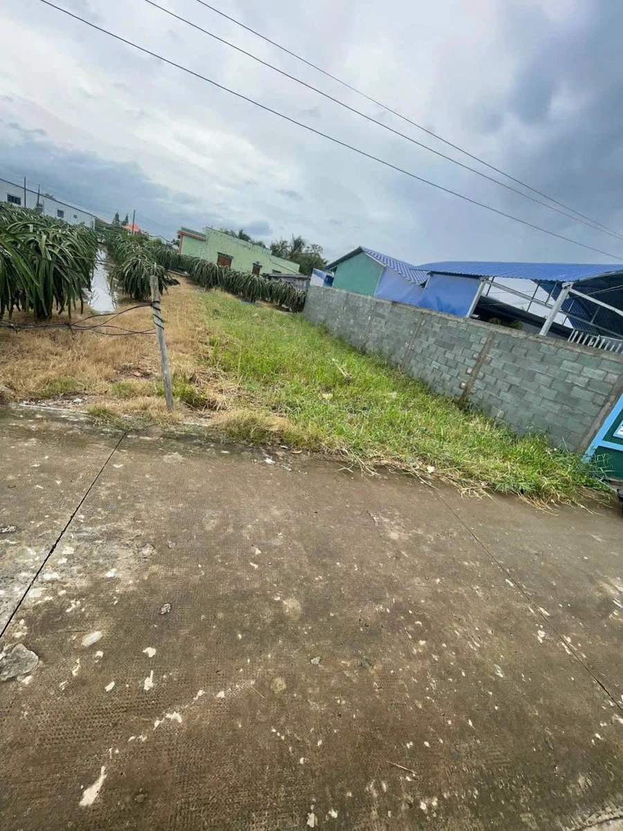 Bán đất thổ cư 7,5x18m giá 499 triệu tại ấp 1, Phú Ngãi Trị, Châu Thành, Long An - Ảnh thu nhỏ 5