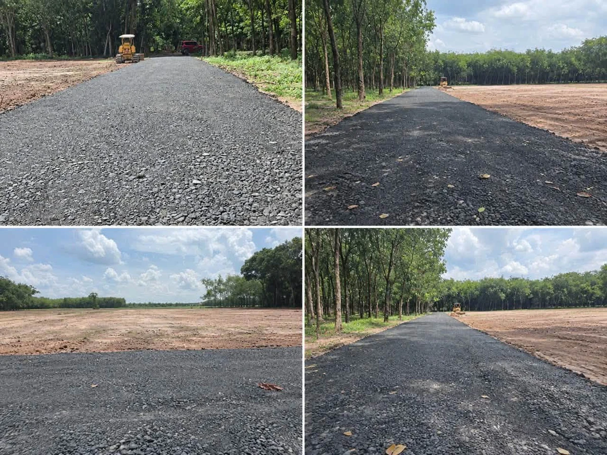 Bán đất 20x50m Phường Bình Minh Tây Ninh 259 triệu - Ảnh 1