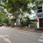 Bán lô đất mặt đường Lê Văn Hưu 74.25 m² Bình Chánh - Ảnh thu nhỏ 1