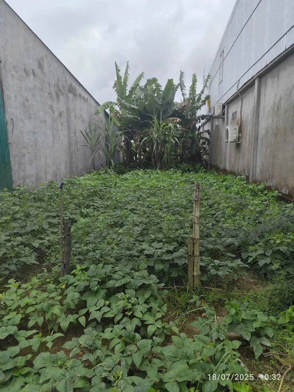 Bán nền 138m2 Tân Hiệp Kiên Giang