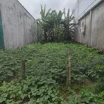 Bán nền 138m2 Tân Hiệp Kiên Giang - Ảnh thu nhỏ 1