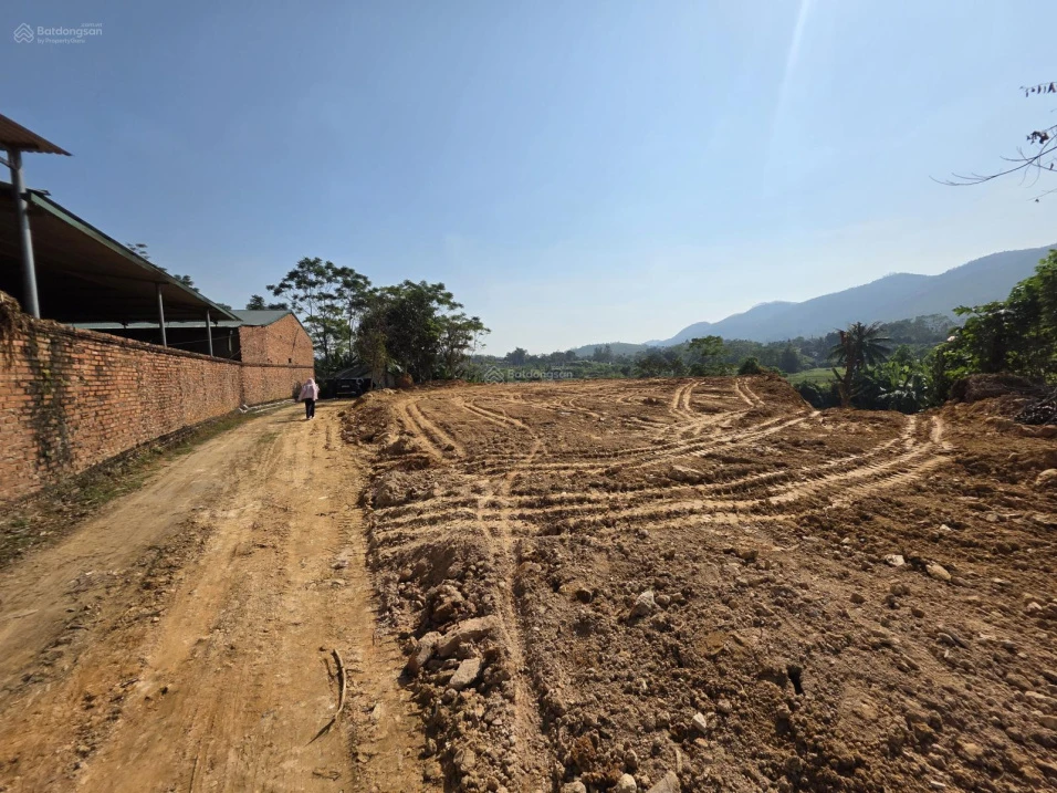 Bán đất 1979,2m2 giá 1,95 tỷ tại thị trấn Thanh Sơn - Ảnh thu nhỏ 4