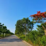 Em cần bán Lô đất LKB.10 tại Khu dịch vụ hỗn hợp VSIP Quảng Ngãi Giá 1,2 tỷ chiết khấu 50 triệu - Ảnh thu nhỏ 6