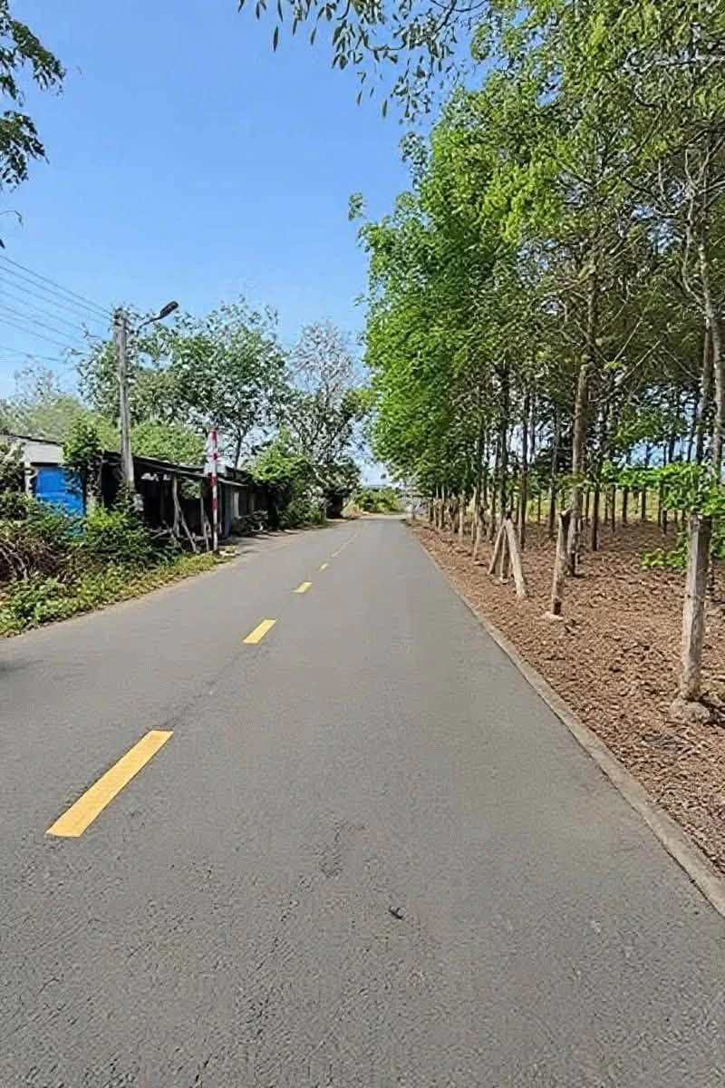 Bán lô đất thổ cư đường nhựa 6m gần khu dân cư 3/2 An Điền, Phường Long Nguyên giá 1,48 tỷ - Ảnh thu nhỏ 2