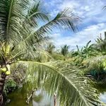 Bán nhà vườn mặt tiền Quản Lộ Phụng Hiệp, Cà Mau 837m² - Ảnh thu nhỏ 4