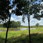 Bán đất 1000m2 Nha Bích, Đồng Nai - Ảnh thu nhỏ 4