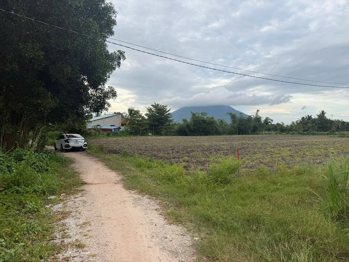 Bán đất thổ cư 5x110m Phan Dương, Tây Ninh 280 triệu - Ảnh thu nhỏ 3