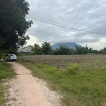 Bán đất thổ cư 5x110m Phan Dương, Tây Ninh 280 triệu - Ảnh thu nhỏ 3