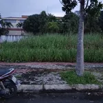 Bán đất mặt tiền 152m2 Xã Lương Bình, Bến Lức, Tây Ninh - Ảnh thu nhỏ 3