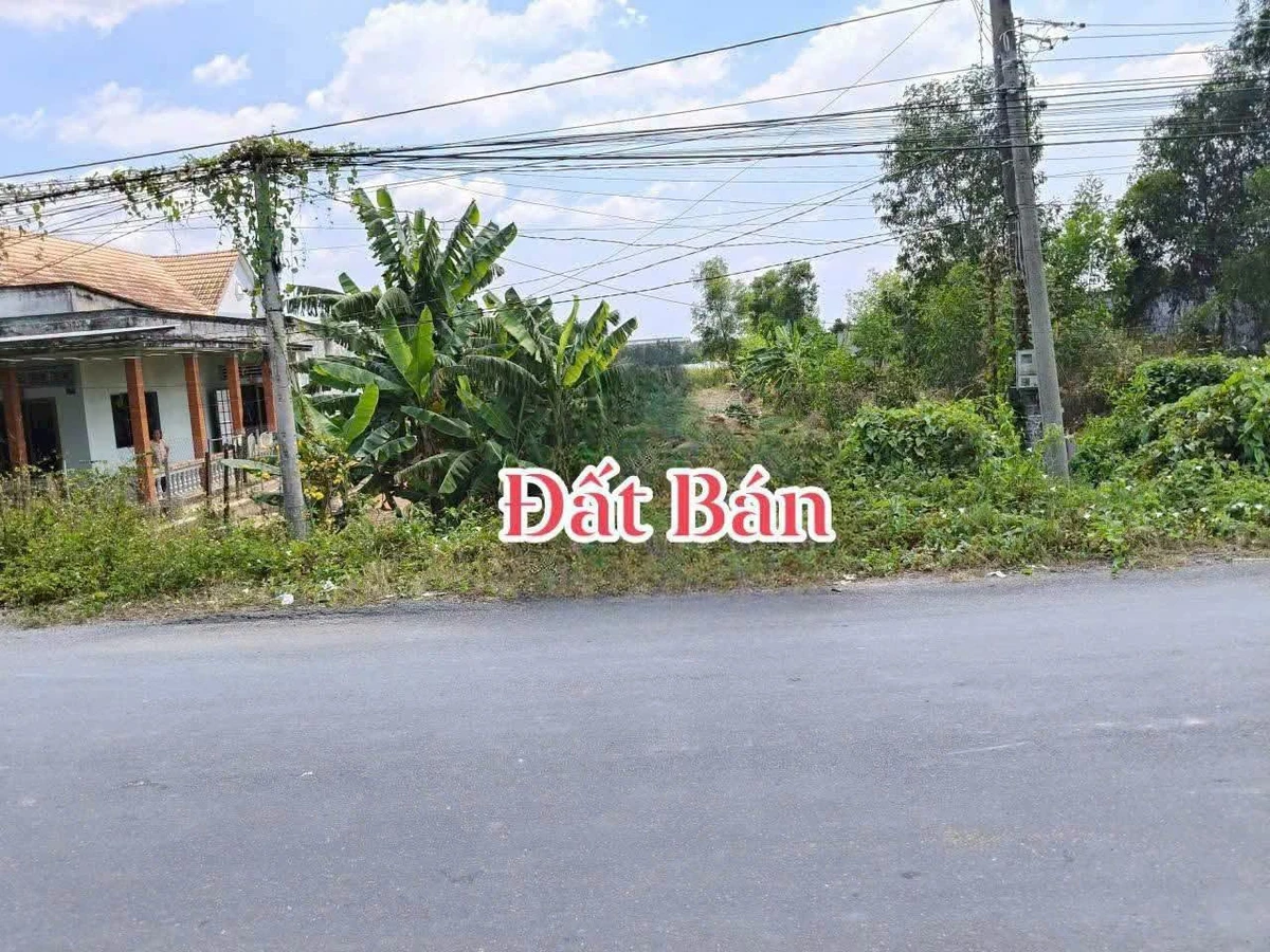 Bán đất mặt tiền 990m² Xã Lương Hòa, Long An - Ảnh thu nhỏ 4