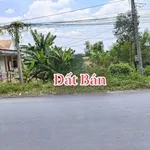 Bán đất mặt tiền 990m² Xã Lương Hòa, Long An - Ảnh thu nhỏ 4