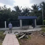 Bán đất 1.050,7m2 ngang 20m đất cây lâu năm, có sẵn nhà, xã Hữu Định, Châu Thành - Ảnh thu nhỏ 3