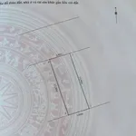 Bán đất mặt đường Bạch Thái Bưởi 67,5m2, 10,5 tỷ, Quận 5 - Ảnh thu nhỏ 1