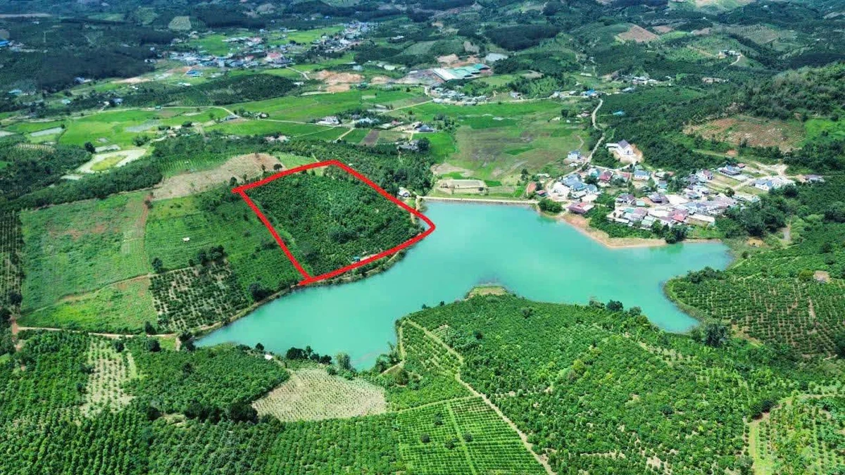 Bán đất nông nghiệp 2 hectare tại Bắc Gia Nghĩa, Lâm Đồng - Ảnh thu nhỏ 4