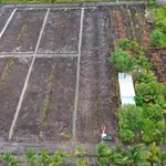 Bán đất vườn 500m² Tân Thành, Thủ Thừa, Long An - Ảnh thu nhỏ 2