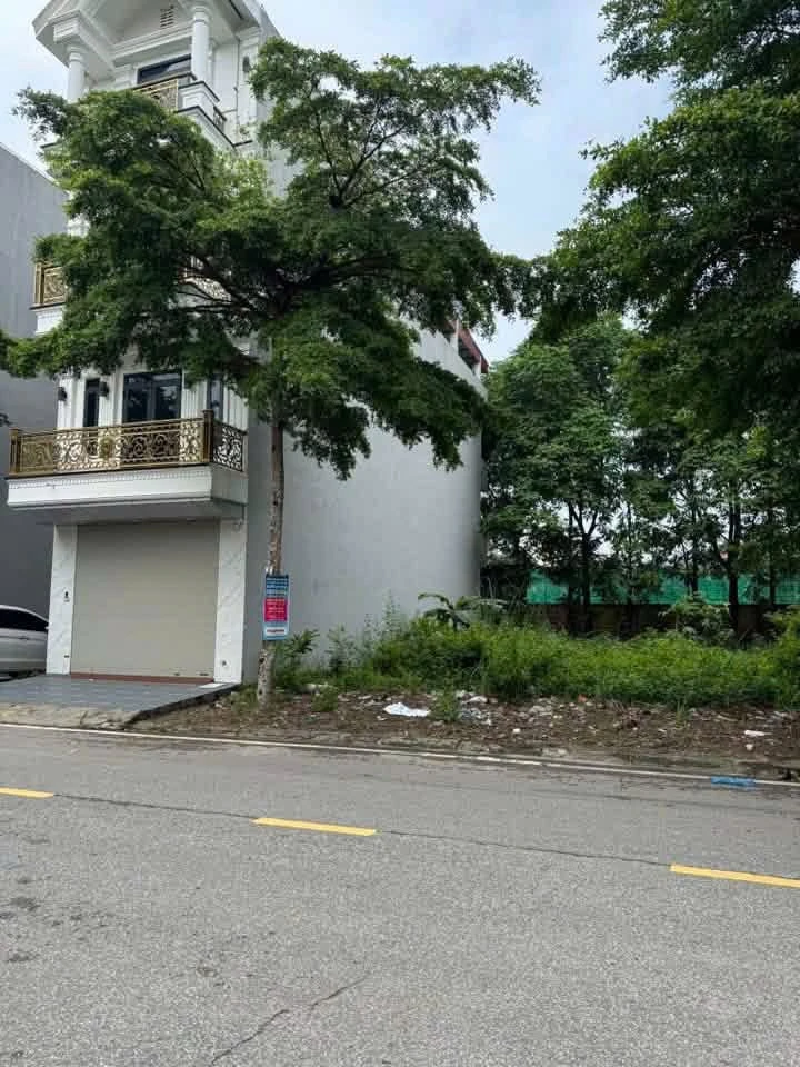 Bán đất mặt tiền Cao Sơn 81m², 3,5 tỷ - Ảnh thu nhỏ 3