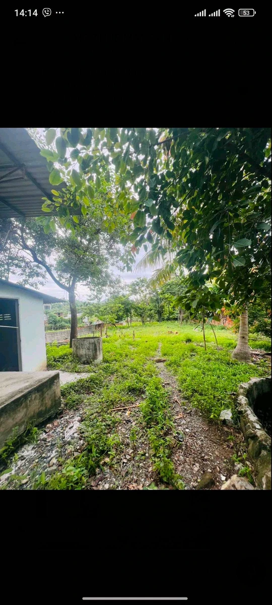 Cho thuê đất mặt tiền Tỉnh Lộ 3 Nha Trang 2000m2 30 triệu/tháng - Ảnh thu nhỏ 2