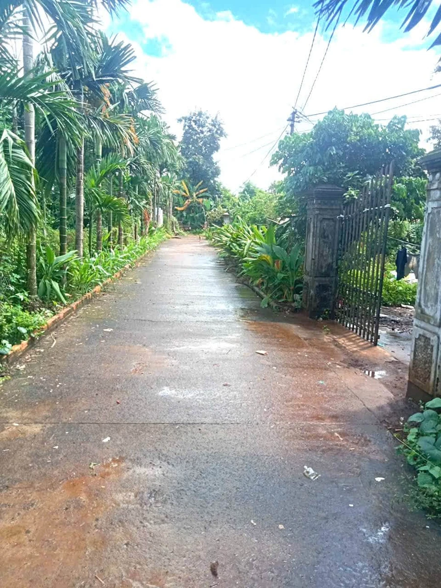 Bán nhanh nhà mái Thái 200m², 4PN gần Quốc lộ 26, Hoà Đông - Ảnh thu nhỏ 4