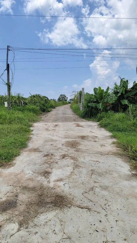 Bán đất 730m² thổ cư 350m² mặt tiền 11m Hàm Liêm, Lâm Đồng