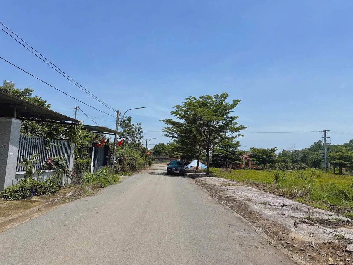Bán đất Châu Pha mặt tiền đường nhựa 14,500m² giá 920 triệu - Ảnh thu nhỏ 3
