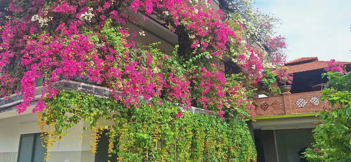 Cho thuê biệt thự 7PN, 500m² Cầu Bè Nhà Bè - 37tr/tháng - Ảnh 1