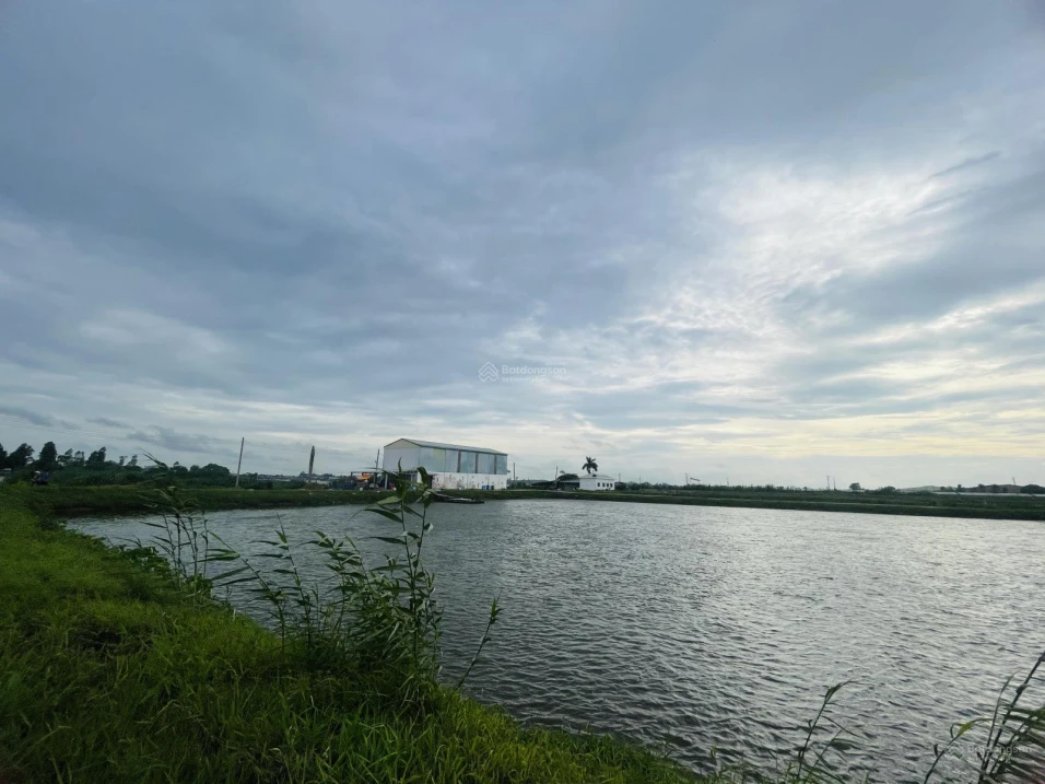 Bán 2 Vùng Nuôi tại Xã Nhơn Mỹ và Xã Long Giang, T. An Giang rộng đến hơn 40ha chỉ 108.1 tỷ đồng - Ảnh thu nhỏ 5