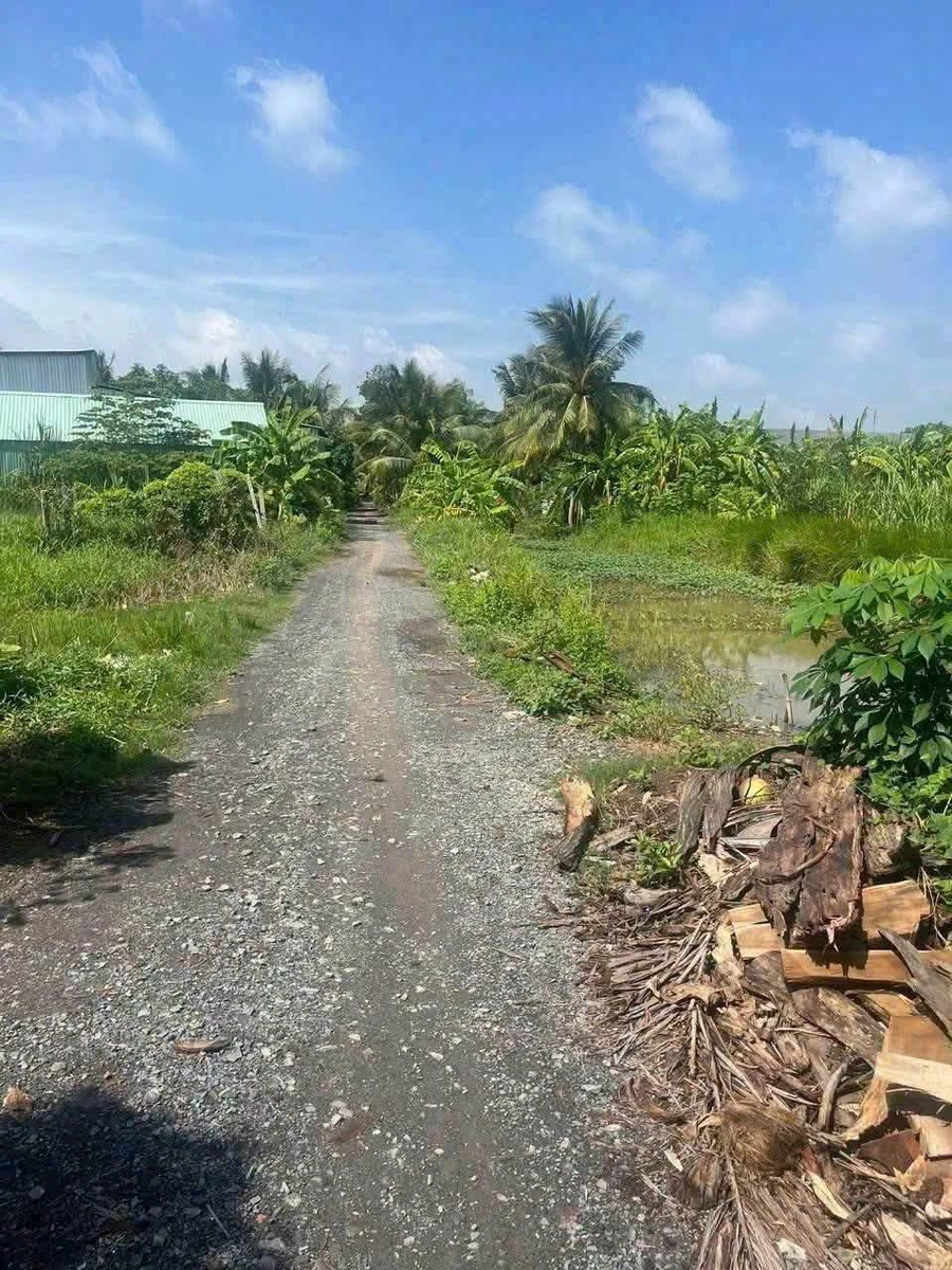 Bán đất thổ cư 145m2 giá 699 triệu tại xã Phước Vân, Cần Đước, Long An - Ảnh thu nhỏ 4