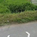Bán đất mặt tiền Nguyễn Thị Hạnh 6000m2 giá 12,5 tỷ, Đức Lập Thượng, Đức Hòa - Ảnh thu nhỏ 2