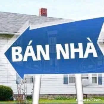Bán căn hộ dịch vụ 67m² giáp Quận 1, 11.8 tỷ - Ảnh 1