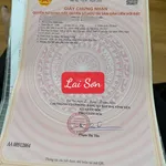 Bán đất trục chính kinh doanh đỉnh Lai Sơn, Đồng Tâm DT 100m2 MT 5m sổ đỏ chính chủ giá chỉ 2,25 tỷ - Ảnh thu nhỏ 5