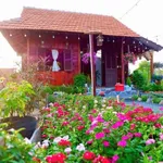 Bán đất vườn 800 m2 tại Hàm Liêm, Phan Thiết, Bình Thuận - Ảnh thu nhỏ 1