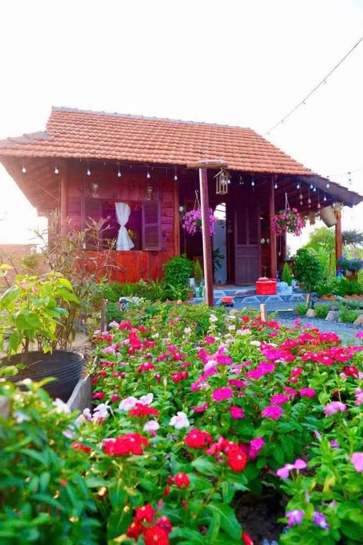 Bán đất vườn 800 m2 tại Hàm Liêm, Phan Thiết, Bình Thuận - Ảnh 1