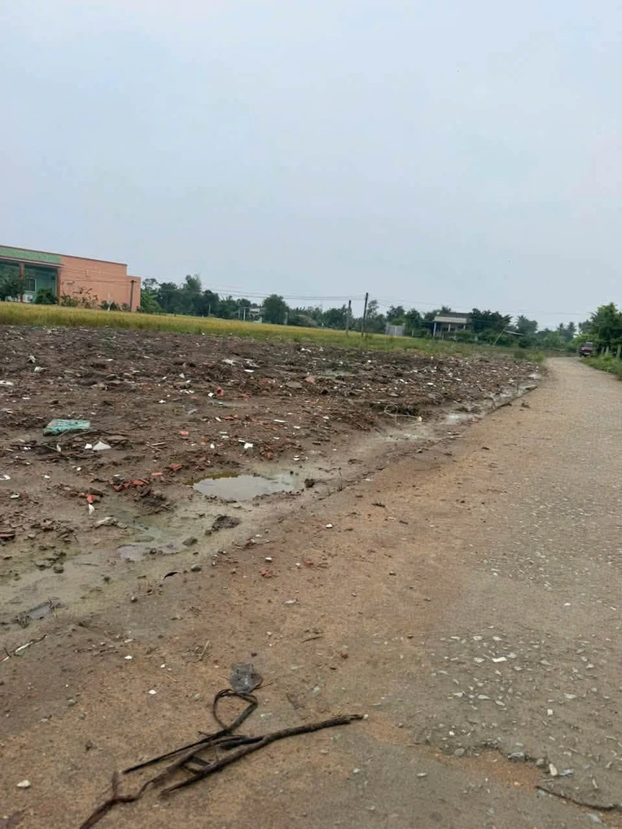 Bán nền đất thổ cư Đức Tân Tân Trụ 82,5m² 259 triệu - Ảnh thu nhỏ 2