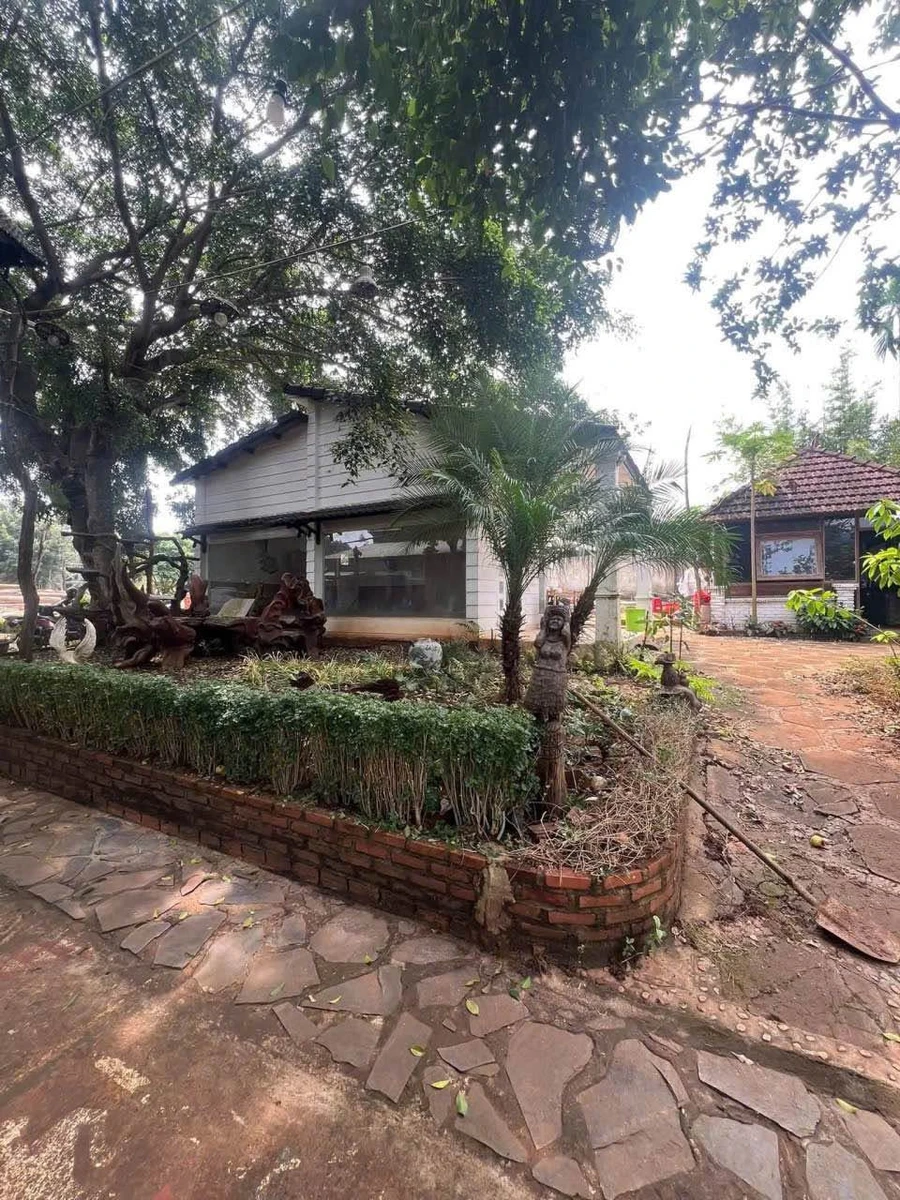 Cho thuê căn hộ nhà vườn 30m2 tại Dã Tượng, Đắk Lắk 4,5 triệu/tháng - Ảnh 1