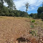 Lô đất 2100m² Suối Tre Long Khánh 1 tỷ 9 - Ảnh thu nhỏ 3
