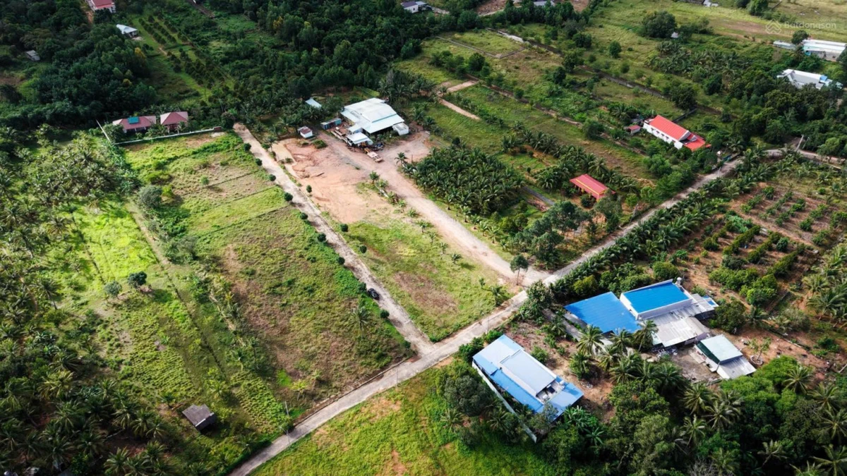 Bán đất 884m2 có thổ cư, khu Tượng Cửa Dương, sổ đỏ sẵn công chứng - Giá đầu tư - Ảnh thu nhỏ 3