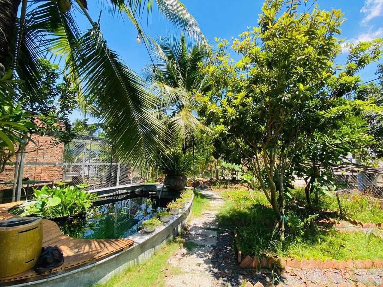 Bán nhà vườn 2 mặt tiền 534m² Nha Trang 4.7 tỷ - Ảnh 1