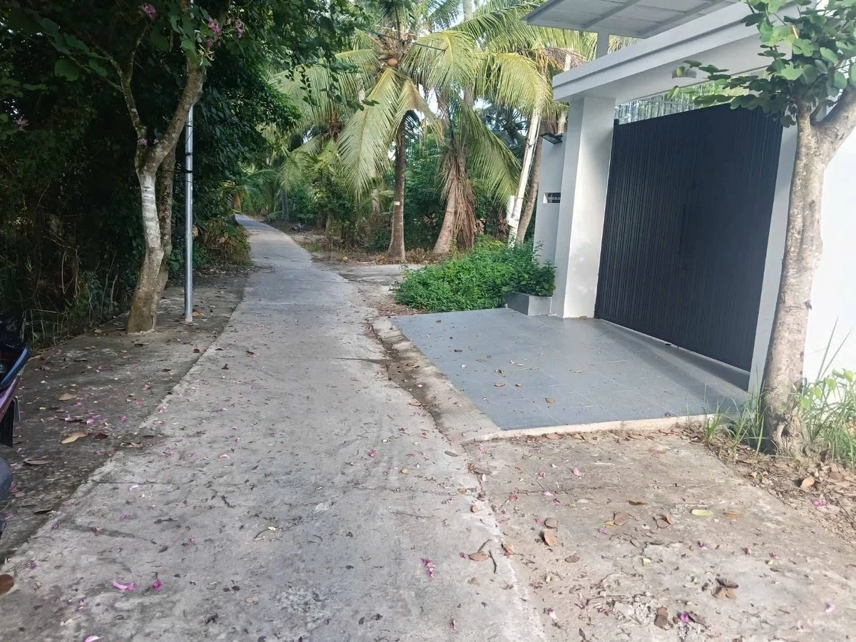 Bán nền đất Phú An Hòa 156m2, Bình Chánh - Ảnh 1