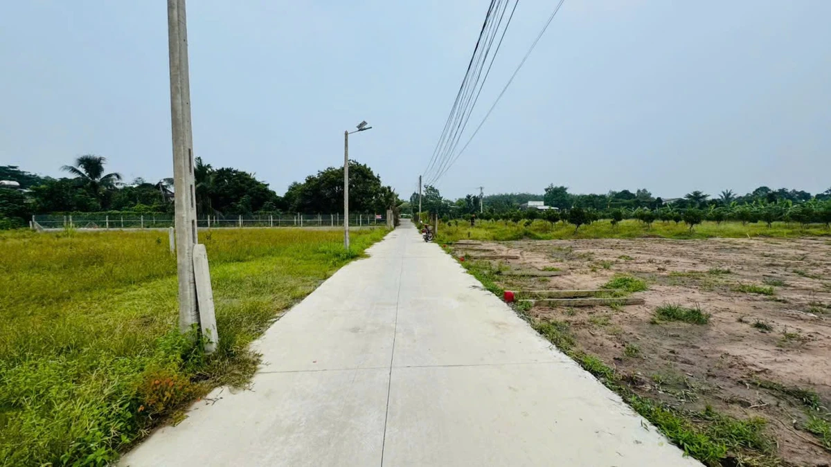 Bán đất 5x50m có 80m² thổ cư Phước Tây 400 triệu - Ảnh thu nhỏ 4