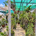 Bán nhà 4 tầng 67m², 5PN, hẻm ô tô gần ngã tư Nguyễn Văn Đậu - Hoàng Hoa Thám, Bình Thạnh - Ảnh thu nhỏ 4