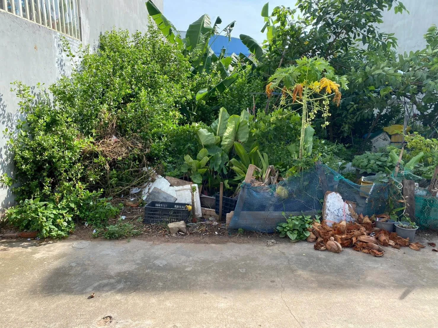 Bán lô đất 100m2 Bình Thuận, Lâm Đồng 1 tỷ 300 triệu - Ảnh 1