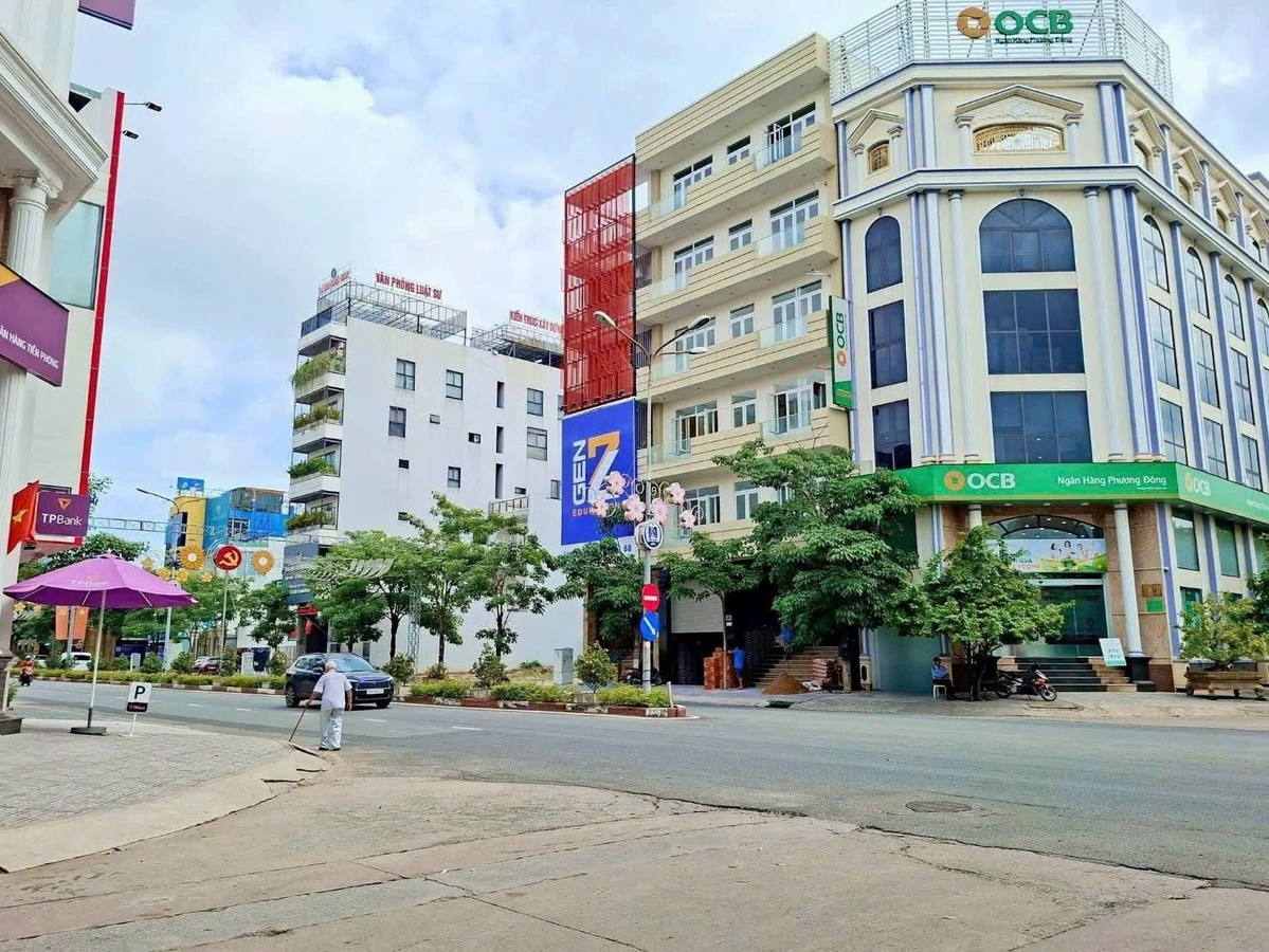 Bán biệt thự 250m2 ngang 10m, 3 tầng, đường số 9 khu trung tâm hành chính Dĩ An - Ảnh thu nhỏ 2