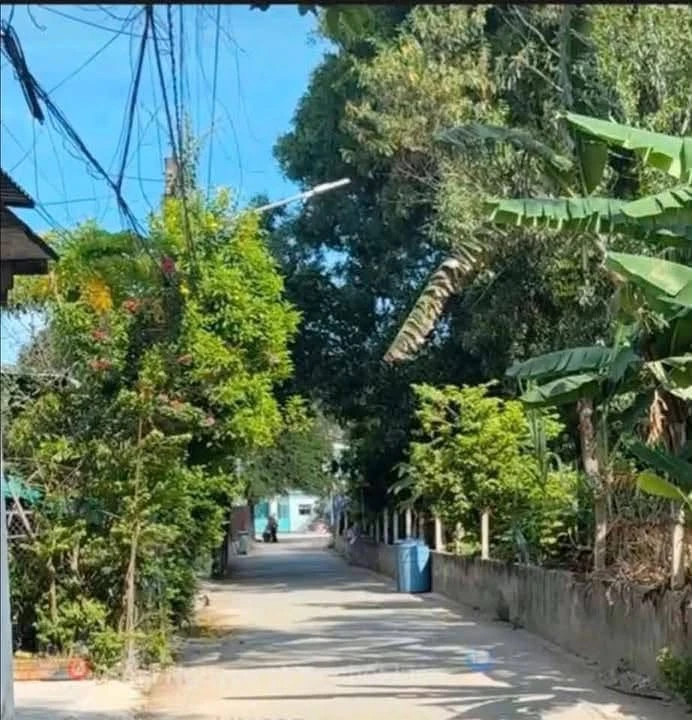 Bán đất thổ cư 10x29 hẻm Thanh Bình, Phú An giá 2,79 tỷ - Ảnh 1