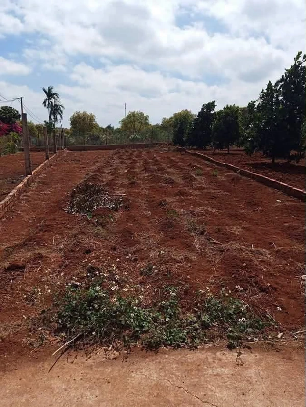Bán đất Hoàng Hoa Thám Phước An 170m² giá 1 tỷ