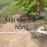 Bán đất vườn 2 mặt tiền 8.894m2 Thủ Thừa Long An - Ảnh thu nhỏ 4