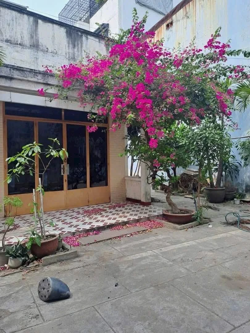 Bán đất nước Gò Vấp 220m² giá 16.5 tỷ - Ảnh 1